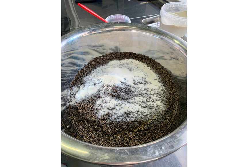 The process of slaughtering caviar QAZAQ CAVIAR